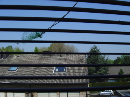 futterknoedelnetz futterknödelnetz