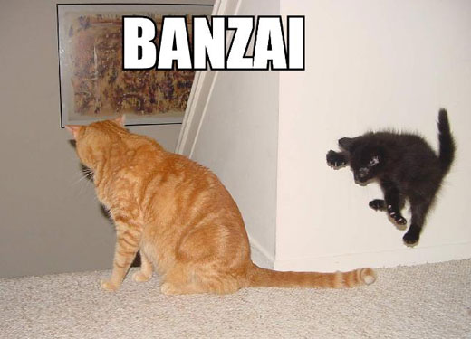 banzai.jpg banzai.jpg